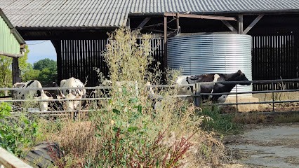Les Gîtes De Fouesnard, Gîte à Caulnes