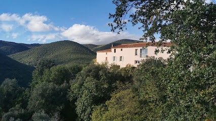 Gîtes Gorges De Galamus - Pyrénées Mon Amour, Gîte à Campoussy