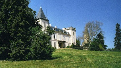 CHATEAU D'EMERINGES, Gîte à Émeringes