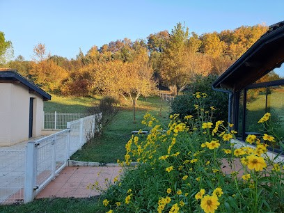 Gîte La Côte Blanche Piscine Hébergement Groupe, Gîte à Puygaillard-de-Quercy