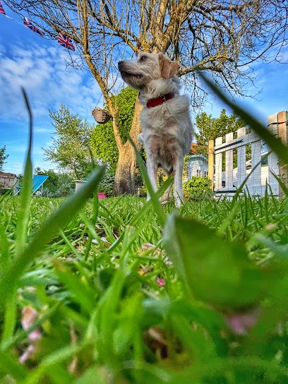 La Maisonnette, Gîte à Wissant