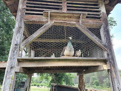 TARIS TOURISME, Gîte à Moustey