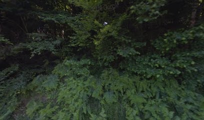 Gîte De La Grande Cheminée, Gîte à Bois-de-Champ