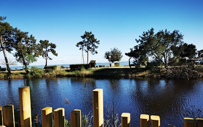 Le Bungalo(w)ve Du Ferret, Gîte à Lège-Cap-Ferret