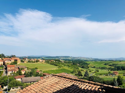 Gite Yellow Stones, Gîte à Theizé