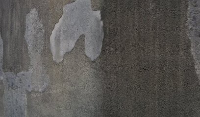 Au Temps Suspendu, Gîte à Rennes-le-Château