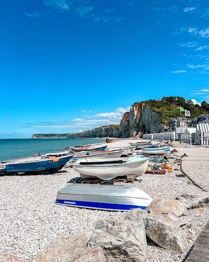 Le Gîte Des Bleuets, Gîte à Cany-Barville