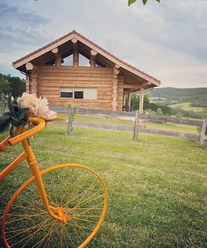 Gîte Le Pastoureau, Gîte à Savas
