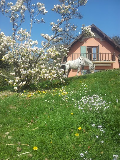 Au Havre des Bois, Gîte à Sarrebourg