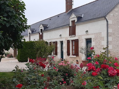 Domaine de Bellyvières, Gîte à Candé-sur-Beuvron