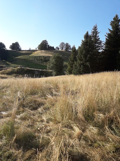 Les Cheyennes, Gîte à La Pesse