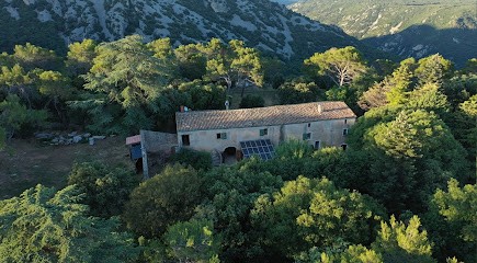 House of Legends (forest of Plôs) group accommodation, Gîte à Saint-Guilhem-le-Désert