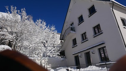 HOME SHANTI - CHASTREIX - LA FONTAINE SALÉE, Gîte à Chastreix