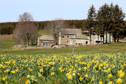 Gite Le Buisson Du Mezenc Gîte à Saint-Front