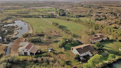 GÎTE MAS FAROLA, Gîte à Saintes-Maries-de-la-Mer