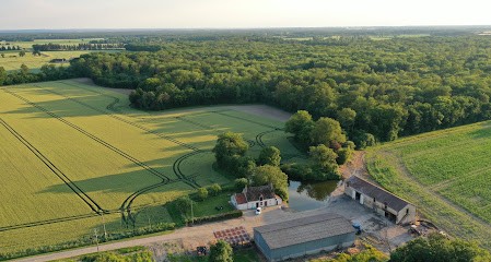 Gîte Le Grand Bois, Gîte à Feins-en-Gâtinais