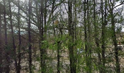 Gîte Les Iscles, Gîte à Forcalquier
