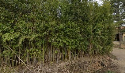 Domaine De La Fermonde, Gîte à Jonquières