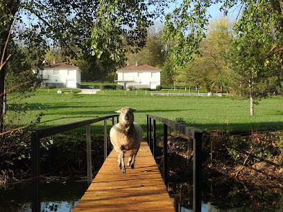 Gite De L'étang, Gîte à Gy