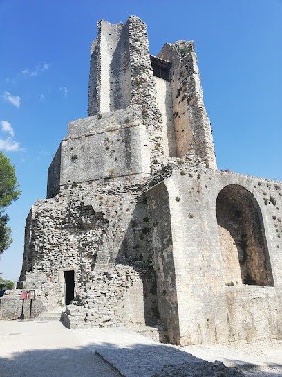 Gites A L OMBRE D UN OLIVIER Classés 3 Etoiles, Gîte à Montaud