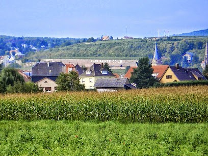Gîte Du Solarium Au Clos Sainte Odile, Gîte à Obernai