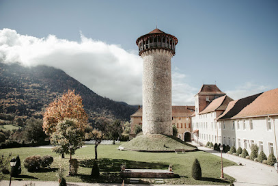 Château De Faverges, Gîte à Faverges-Seythenex