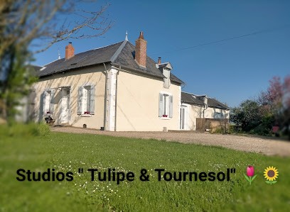 Studios Tulipe & Tournesol 36100, Gîte aux Bordes