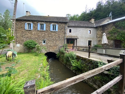 Le Moulin Et Tiny House De Serre - Gîtes De France, Gîte à Cassagnes-Bégonhès