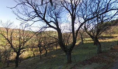Site des 3 Palmiers, Gîte à Chassiers