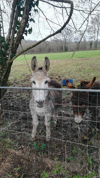 Gîte Barbey, Gîte à Doville