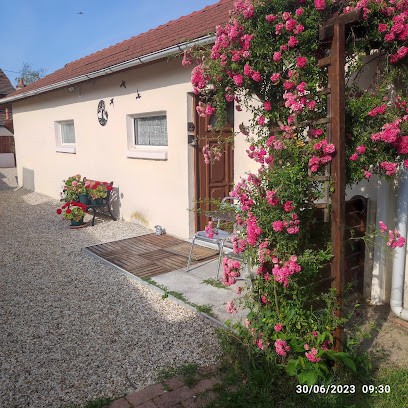 Tranquillité & indépendance au coeur de la sologne, Gîte à Lamotte-Beuvron