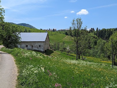 La Ferme D'alice, Gîte aux Bouchoux