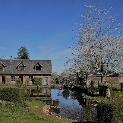 Gite Caillebourg - Normandie, Gîte à Saint-Martin-aux-Arbres