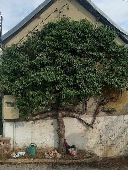 Gîte La Maison de Léa, Gîte à Vauchelles-les-Quesnoy