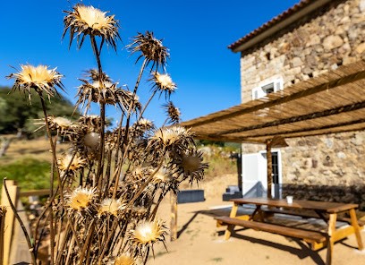 Particasgiu, Gîte à Vico