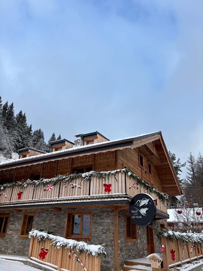 Châlet Du Petit Ours Polaire, Gîte à Brizon
