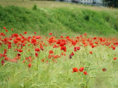 Gîte Esperantou, Gîte à Cailhavel