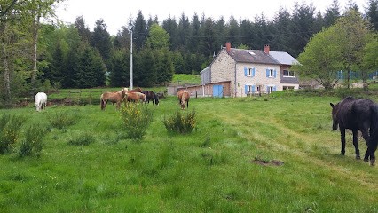 Gîte Le Puy Des Bruges, Vassivière, 8 Personnes, Gîte à Royère-de-Vassivière