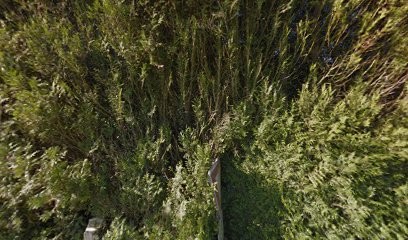 La Closerie des Nymphéas, gîte Bonnebosq, Gîte à Bonnebosq