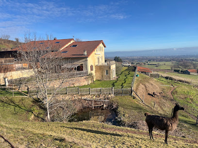 La Bruyère Aux Lamas Gîte à Saint-André-d'Apchon