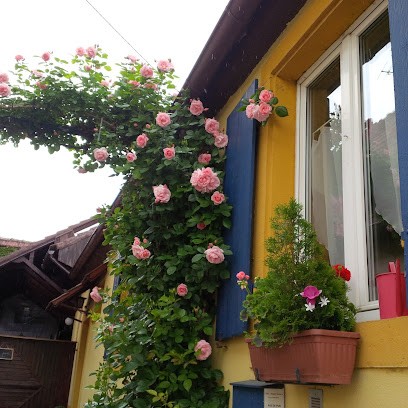 Sweet Home, Gîte à Goxwiller