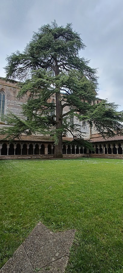 Comme Un Air De Voyage - Gîtes De France, Gîte à Moissac