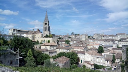 Gîte Logis De Villemaurine, Gîte à Saint-Émilion