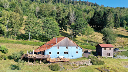 Gîte La Maison Bleue, Gîte à Saint-Maurice-sur-Moselle