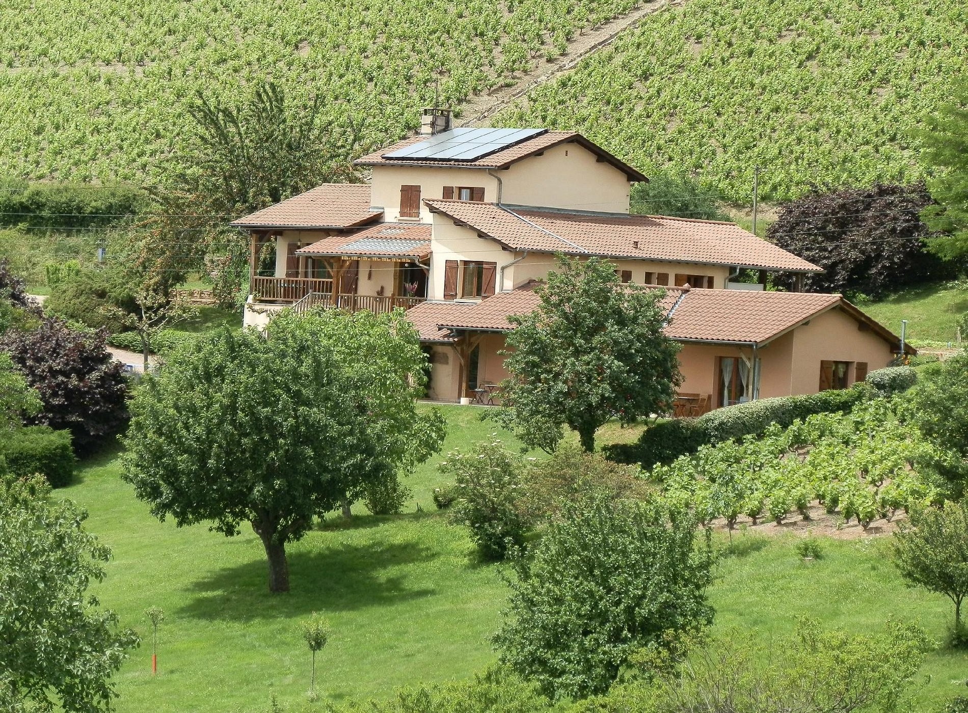 The Blue Grape, Gîte à Pruzilly