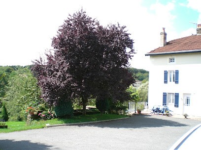Gite THOMAS, Gîte à La Vôge-les-Bains