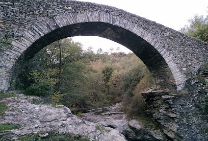 Gîte du Pin en Cévennes, Gîte à Saint-Martin-de-Boubaux