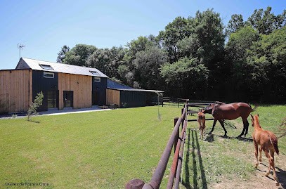 Le Hangar De Maxime - Le Rêve De Maxime Gîte, & Spa, Gîte à La Ferté-en-Ouche