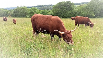 Gîte Et Salers Des Monts D'Arrée- Audrey Le Borgne, Gîte à Brennilis