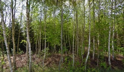 Gîte Du Ried, Gîte à Saasenheim